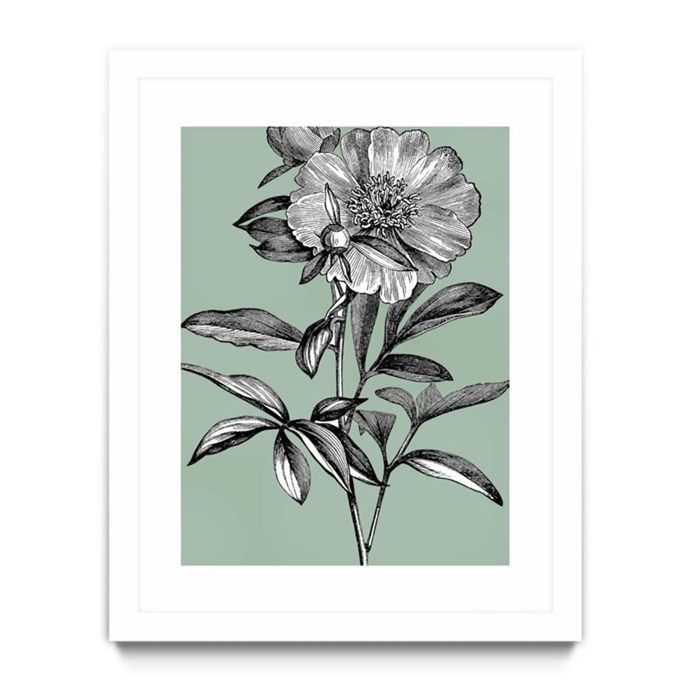 Vintage Botanical Black and White Flower Art Print on Canvas