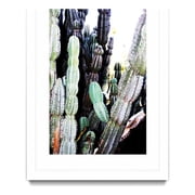 Giant Art 24x36 Kaktus III Matted and Framed in Multi-Color