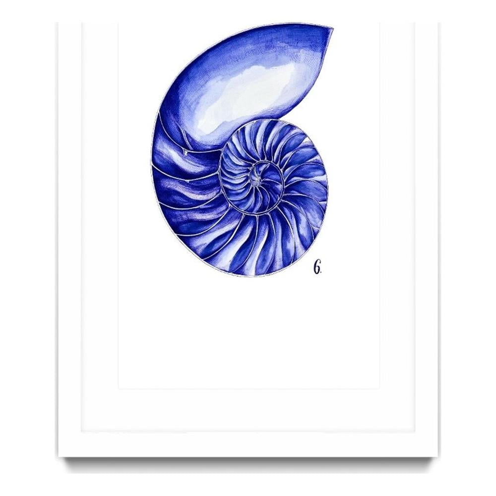 Large Blue Nautilus Shell Framed Canvas Art 24x36