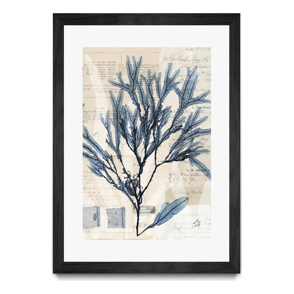 Giant Art 24x36 Seaweed Arrangement I Matted and Framed in Multi-Color