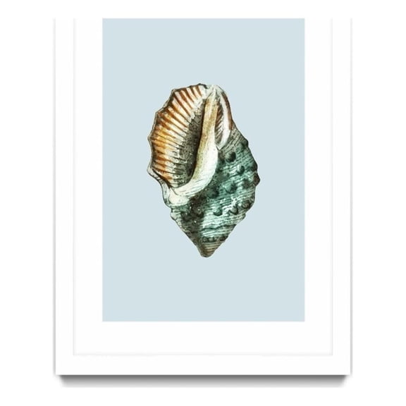 Giant Art 24x36 Teal Shell VI Matted and Framed in Multi-Color