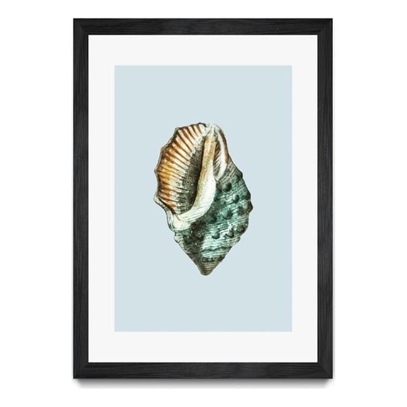 Giant Art 24x36 Teal Shell VI Matted and Framed in Multi-Color