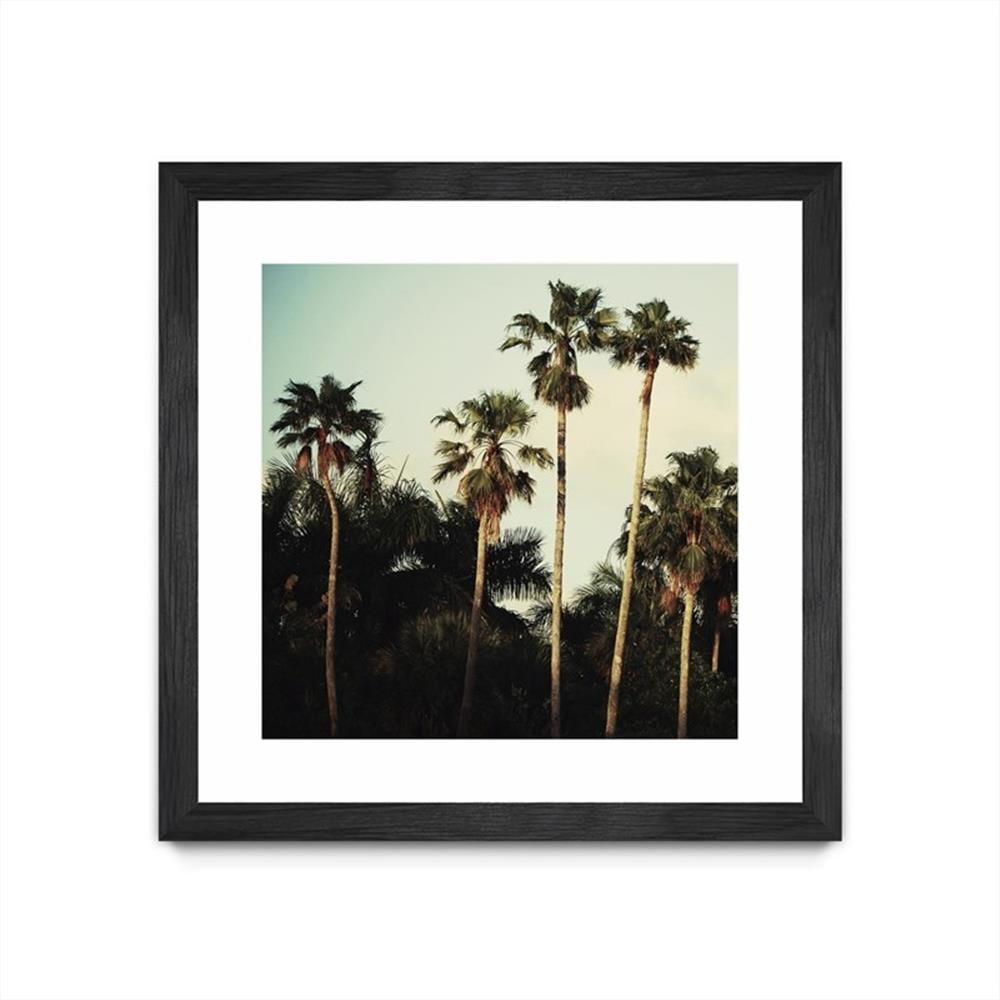 Large Black Matted and Framed Palm Tree Canvas Print
