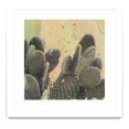 thumbnail image 1 of Giant Art 30x30 Desert Dreams II Matted and Framed in Multi-Color, 1 of 3