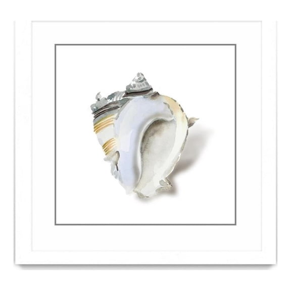 Giant Art 30x30 Seafoam Shell Matted and Framed in Multi-Color