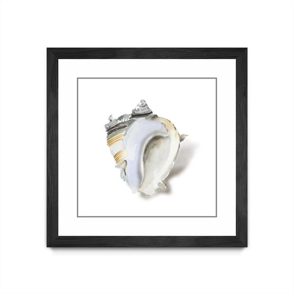 Giant Art 30x30 Seafoam Shell Matted and Framed in Multi-Color