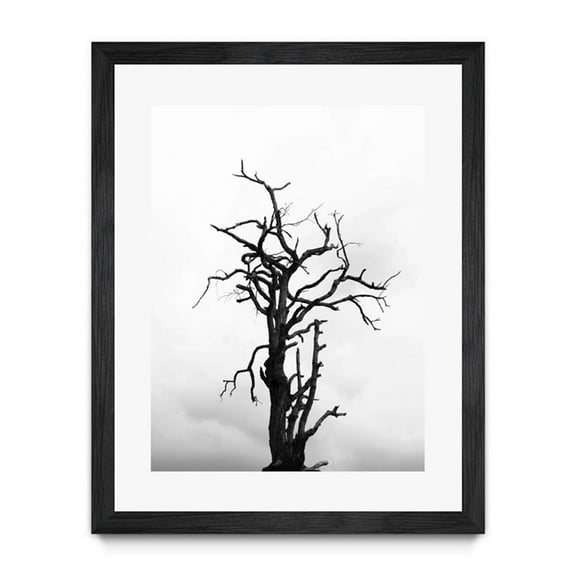 Giant Art 30x40 Dead tree Matted and Framed in White