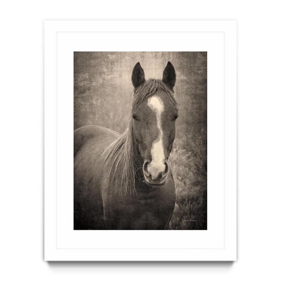 Giant Art 30x40 Heres Looking at You II Matted and Framed in Multi-Color