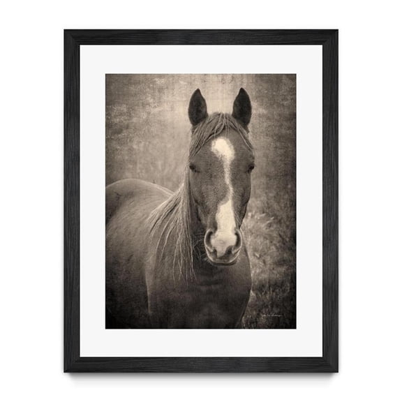 Giant Art 30x40 Heres Looking at You II Matted and Framed in Multi-Color