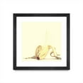 thumbnail image 1 of Giant Art 36x36 Banada Honey Puff Matted and Framed in Yellow, 1 of 3