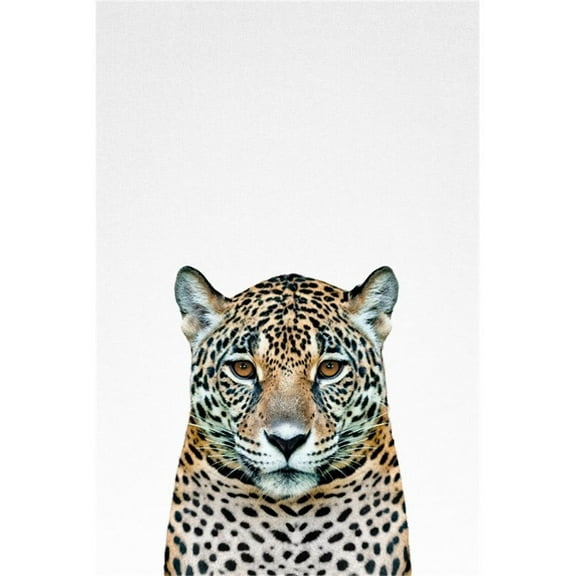 Giant Art 72x48 Leopard II Fine Art Giant Canvas Print in Multi-Color