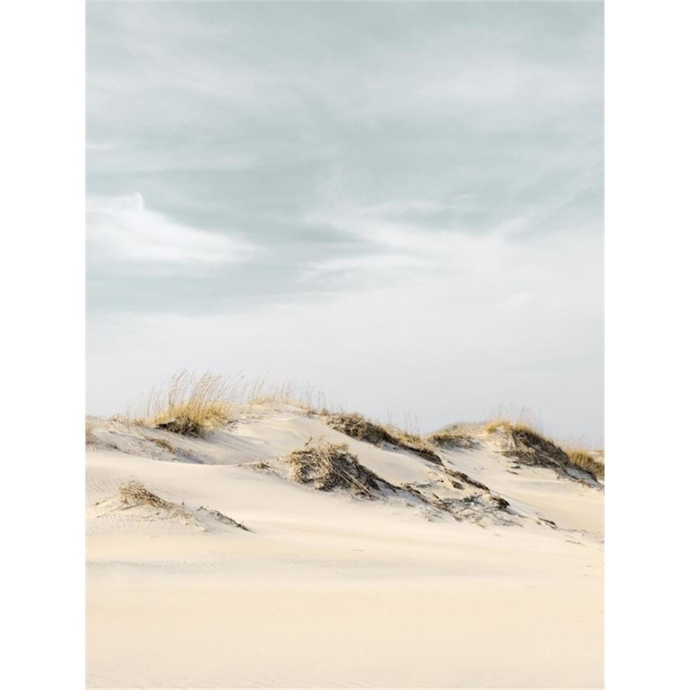 Giant 72x54 Beige and Blue Canvas Print
