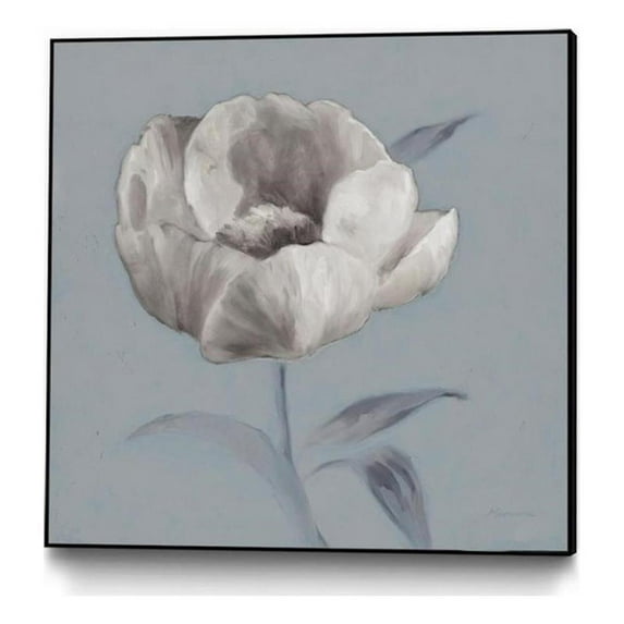 Giant Art Canvas 20x20 FLORAL SYMPOSIUM I Framed in White