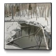 thumbnail image 1 of Giant Art Canvas  20x20 In the Deep Woods Framed in White, 1 of 3