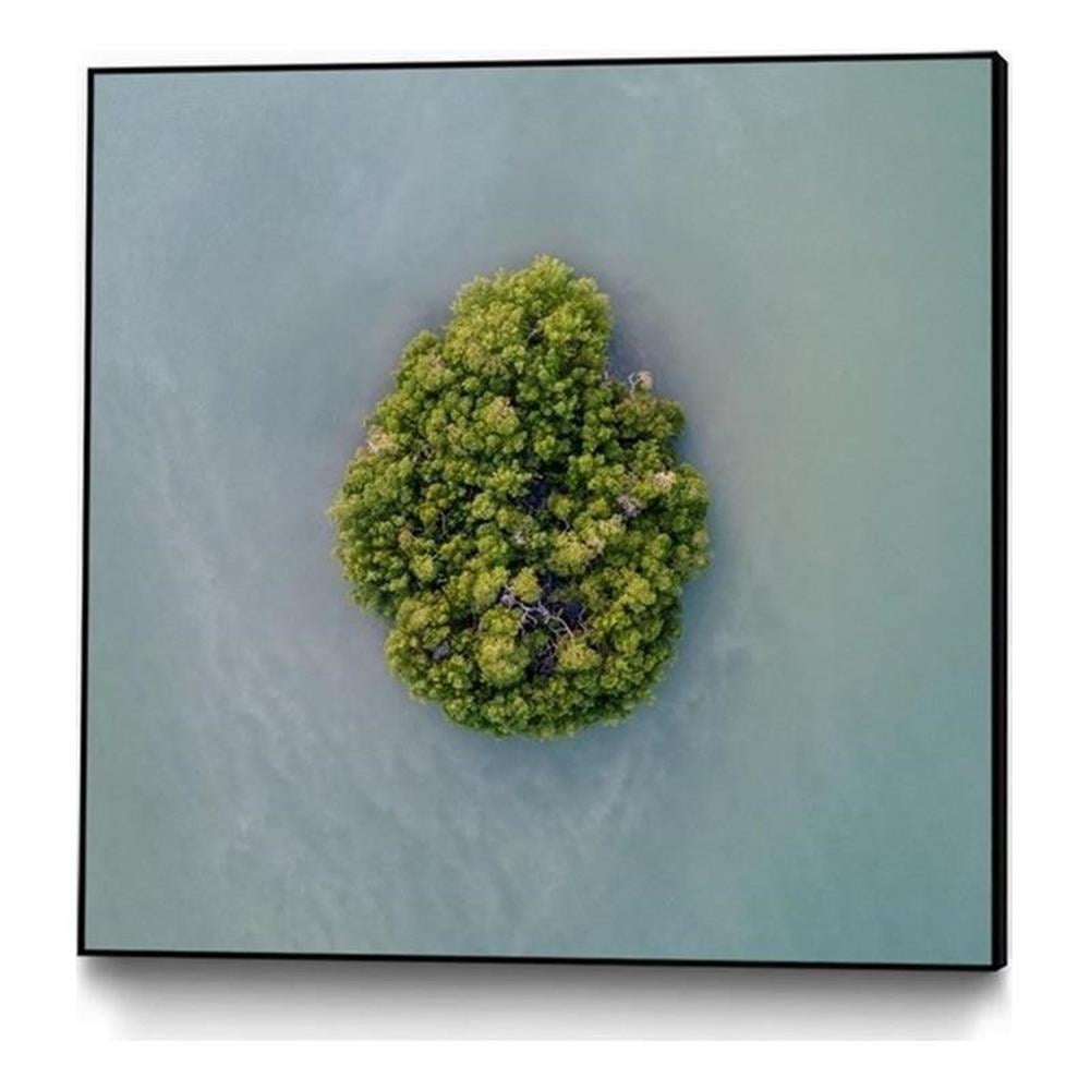 Lonely Island Green Framed Canvas Print 20 x 20 Inches