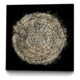 thumbnail image 1 of Giant Art Canvas  20x20 Mysterious Tree Rings Framed in Multi-Color, 1 of 3