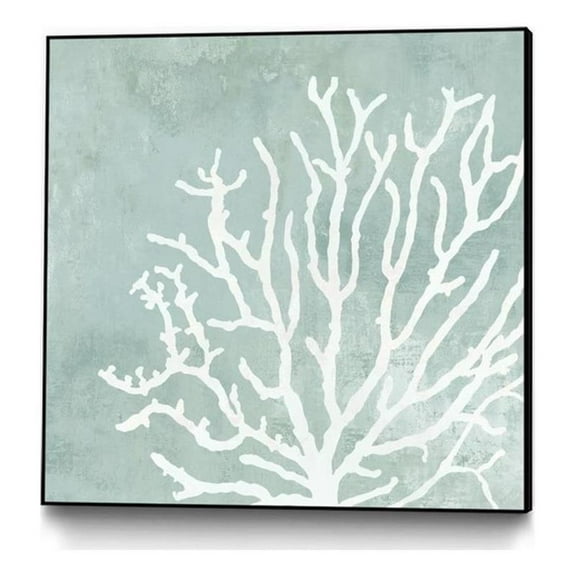 Giant Art Canvas  20x20 Sea Crown II Framed in Multi-Color