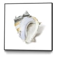 thumbnail image 1 of Giant Art Canvas  20x20 Seafoam Shell Framed in Multi-Color, 1 of 3