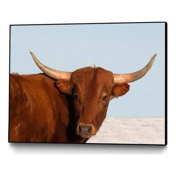 Giant Art Canvas 24x18 Steer Framed in Multi-Color
