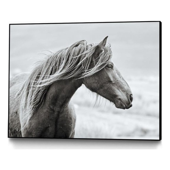 Giant Art Canvas 24x18 The Fell Framed in White
