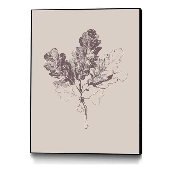 Giant Art Canvas  24x32 Botanica 3 Framed in Pink