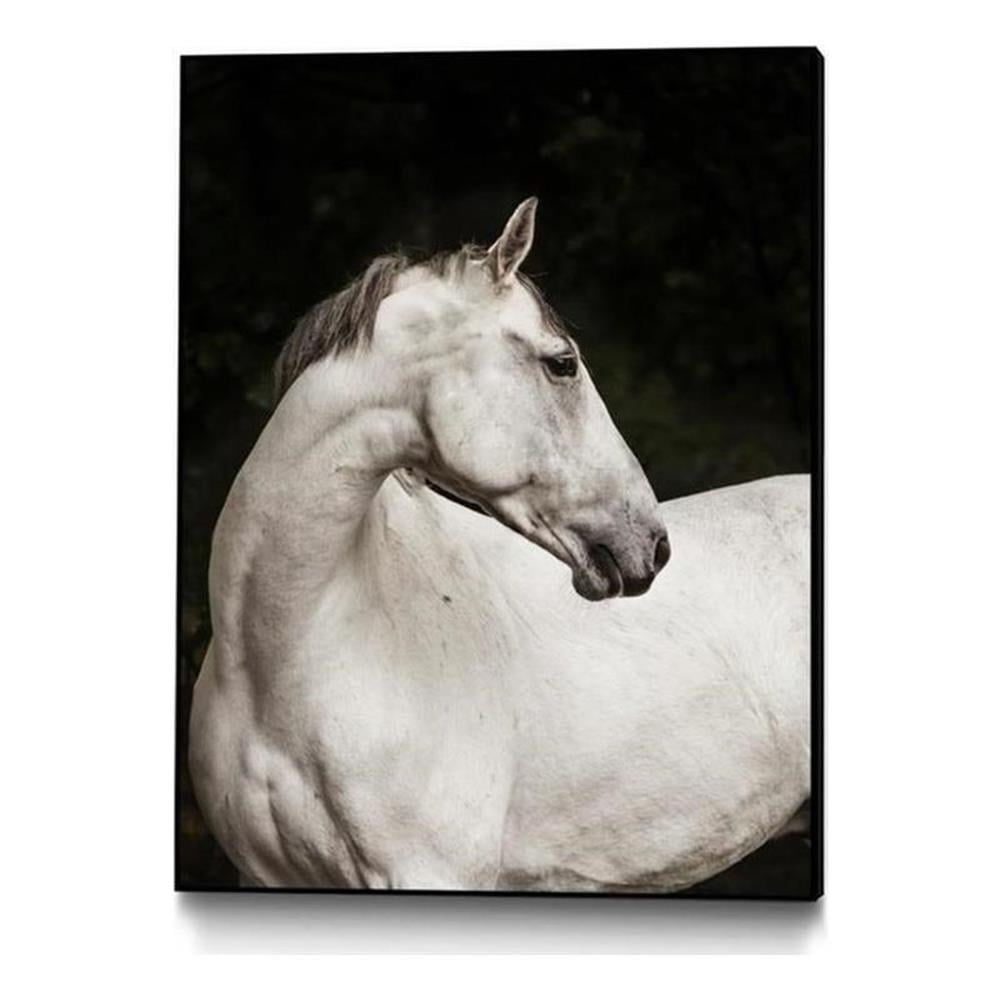 Elegant White Horse Canvas Framed Art 24x32