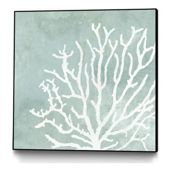 Giant Art Canvas  30x30 Sea Crown II Framed in Multi-Color