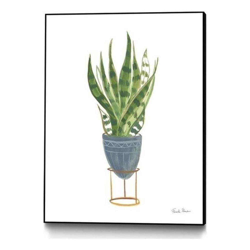 Green House Plant Print on Canvas with Black Frame