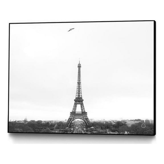 Giant Art Canvas 32x24 A Birds View of Paris Framed in White