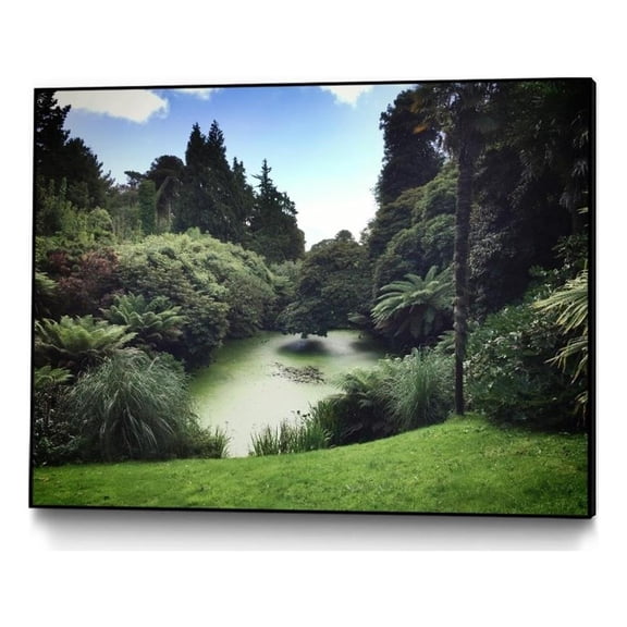 Giant Art Canvas 32x24 Swamp Framed in Green