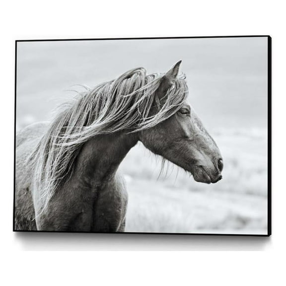 Giant Art Canvas 32x24 The Fell Framed in White