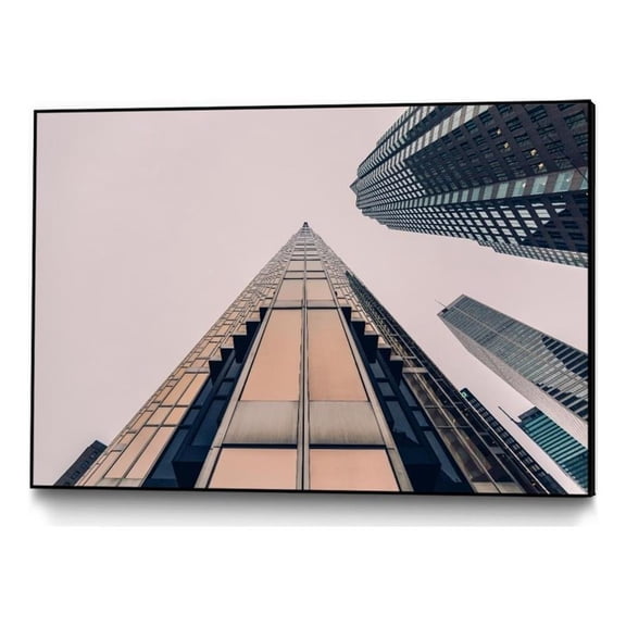 Giant Art Canvas 36x24 Skyline view Framed in Pink