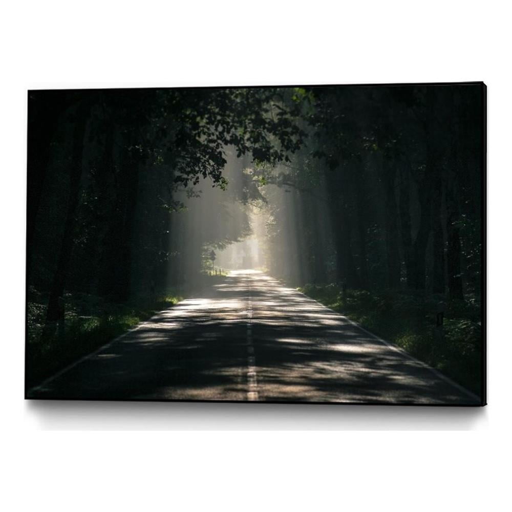 Green Forest Pathway Framed Canvas Art 36 x 24 Inches