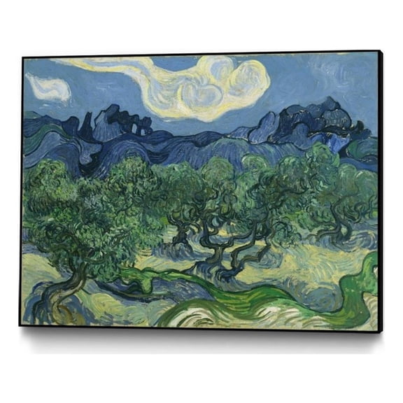Giant Art Canvas  40x30 Olive Trees Framed in Multi-Color