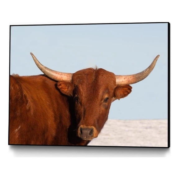 Giant Art Canvas 40x30 Steer Framed in Multi-Color