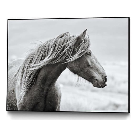 Giant Art Canvas 40x30 The Fell Framed in White