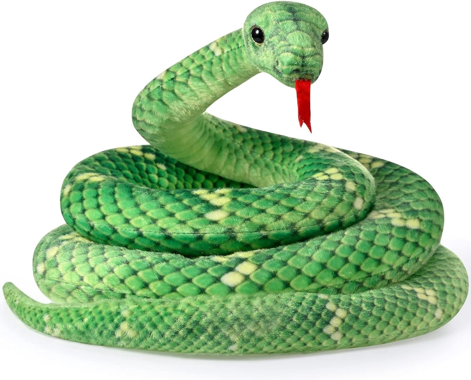 Boa Constrictor