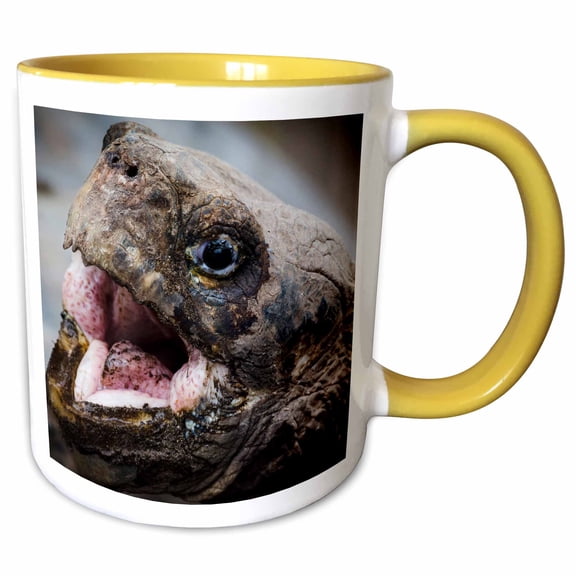 3drose, Giant Galapagos Tortoise., 11oz Two-tone Yellow Mug