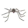 thumbnail image 1 of Giant Hairy Halloween Spider - Extra Large Realistic Scary Spider Decor for Outdoor Yard, Haunted House & Party Props (Brown) 59", 1 of 5