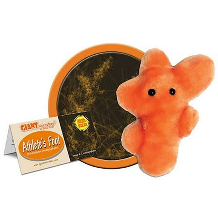Knick Knack Toy Shack Giant Microbes Plush - Athlete's Foot (Trichophyton Mentagrophytes)