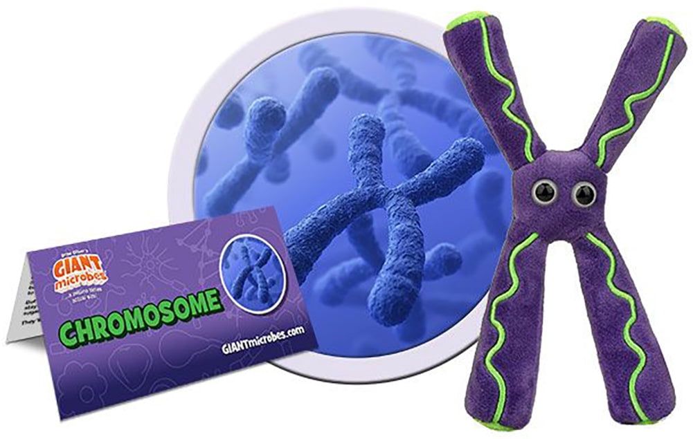 Plush Microscope Giant Microbes Plush - Chromosome - Walmart.com