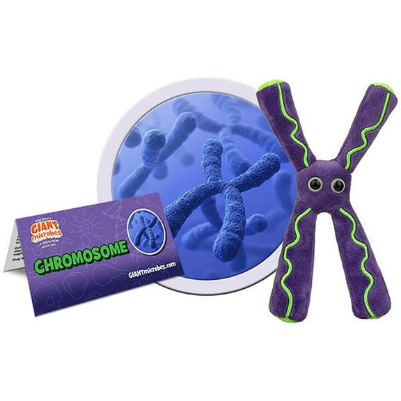 Giant Microbes Plush - Chromosome