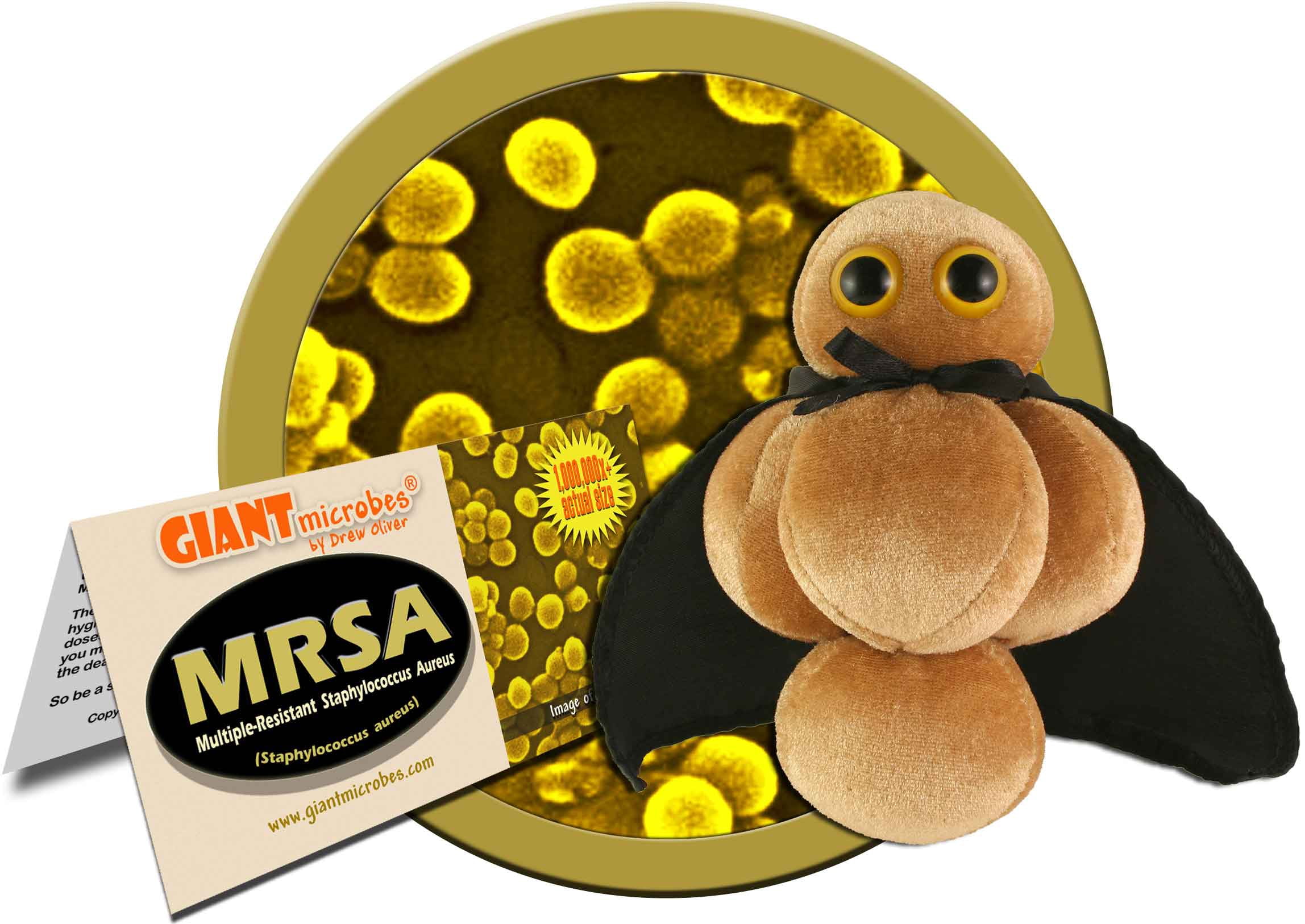 Giant Plush Microbes