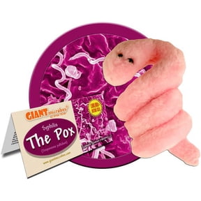 Giant Microbes Syphilis the Pox Model Science Kit