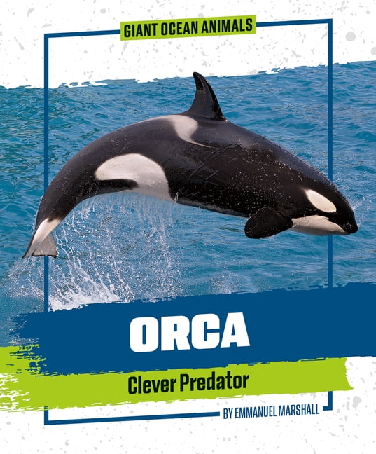 Giant Ocean Animals Orca, (Hardcover)