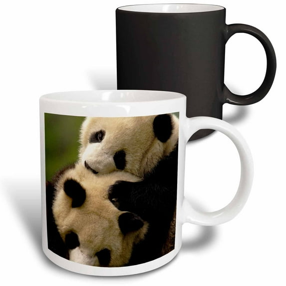 3drose, Giant Panda Bears, Wolong China Conservation, China-as07 Pox0311 - Pete Oxford, 11oz Magic Transforming Mug