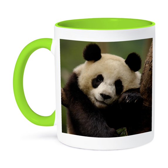 Giant Panda Bears, Wolong China Conservation, China-As07 Pox0320 - Pete Oxford, 11oz Two-Tone Green Mug