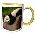 thumbnail image 1 of 3drose, Giant Panda Bears, Wolong China Conservation, China-as07 Pox0364 - Pete Oxford, 15oz Two-tone Yellow Mug, 1 of 6