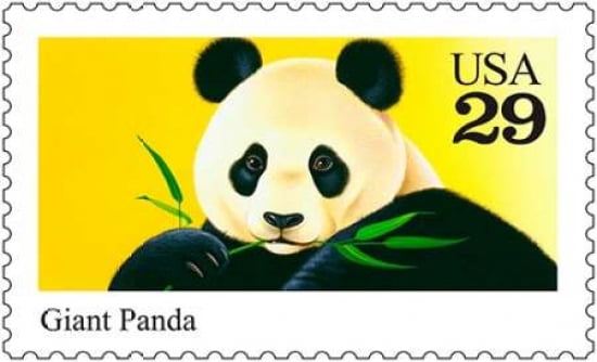 Giant Panda Canvas Art - US POSTAL SERVICE (24 x 36)