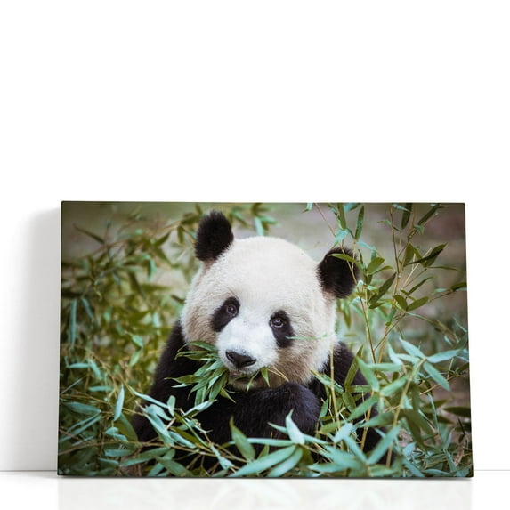Giant Panda During His Lunch - Wrapped Canvas Print Wall Art | 30" W x 20" H